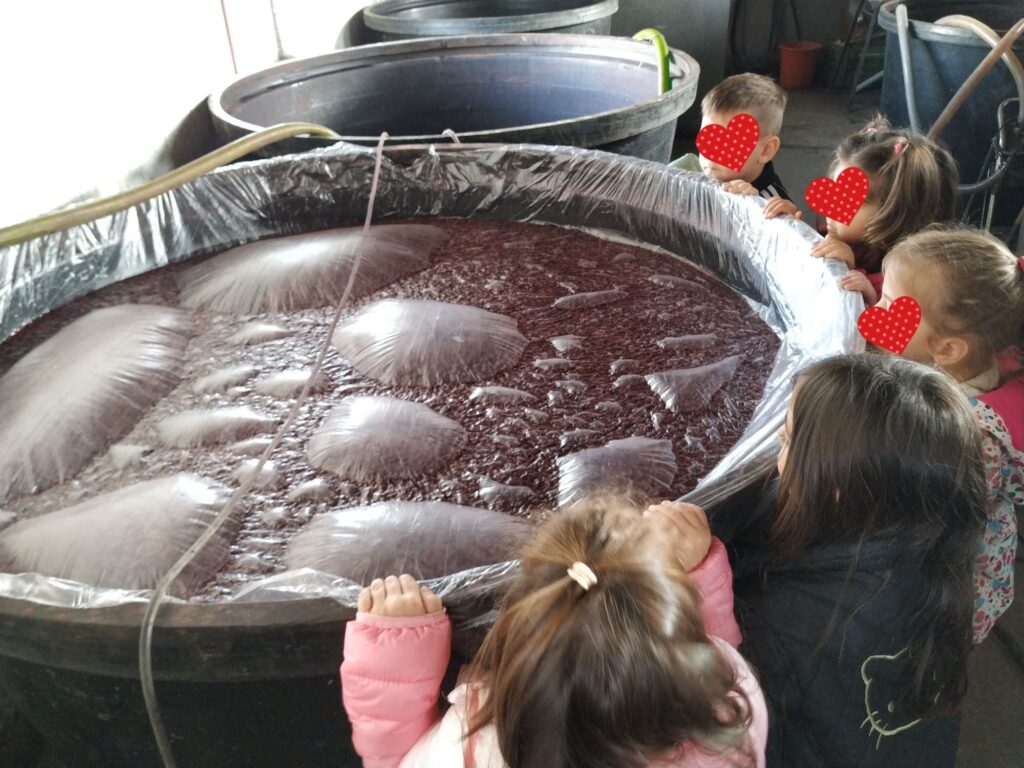 IMG 967d233331e2559c6457e72abd0a9542 V